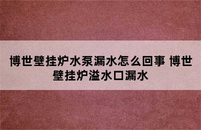 博世壁挂炉水泵漏水怎么回事 博世壁挂炉溢水口漏水